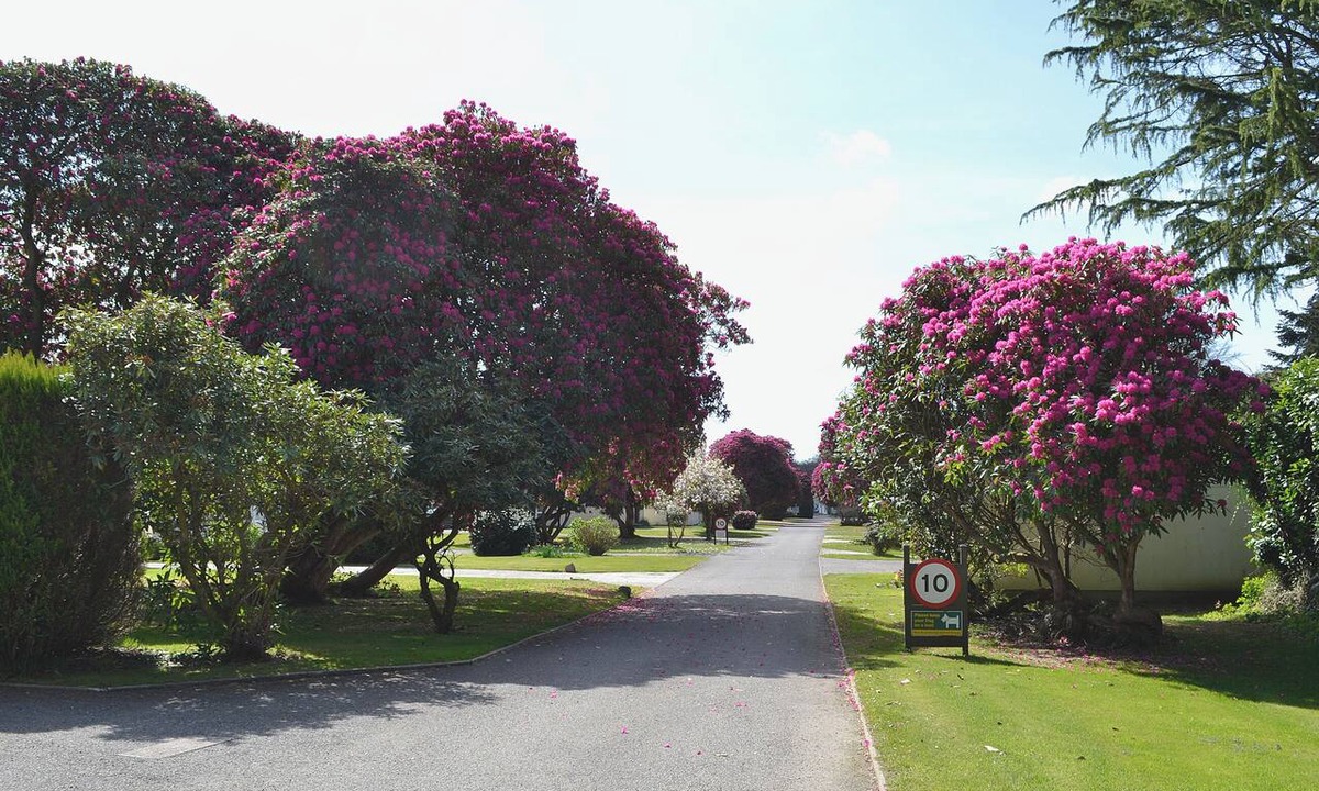 Liskeard Cottage | 2 bedroom accommodation in Liskeard