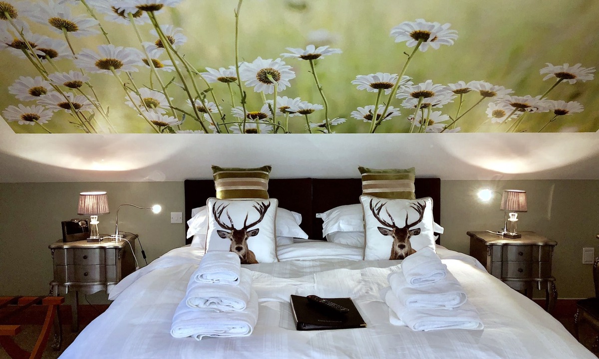 Dungannon Bed & Breakfast | Ashbrook House B&B