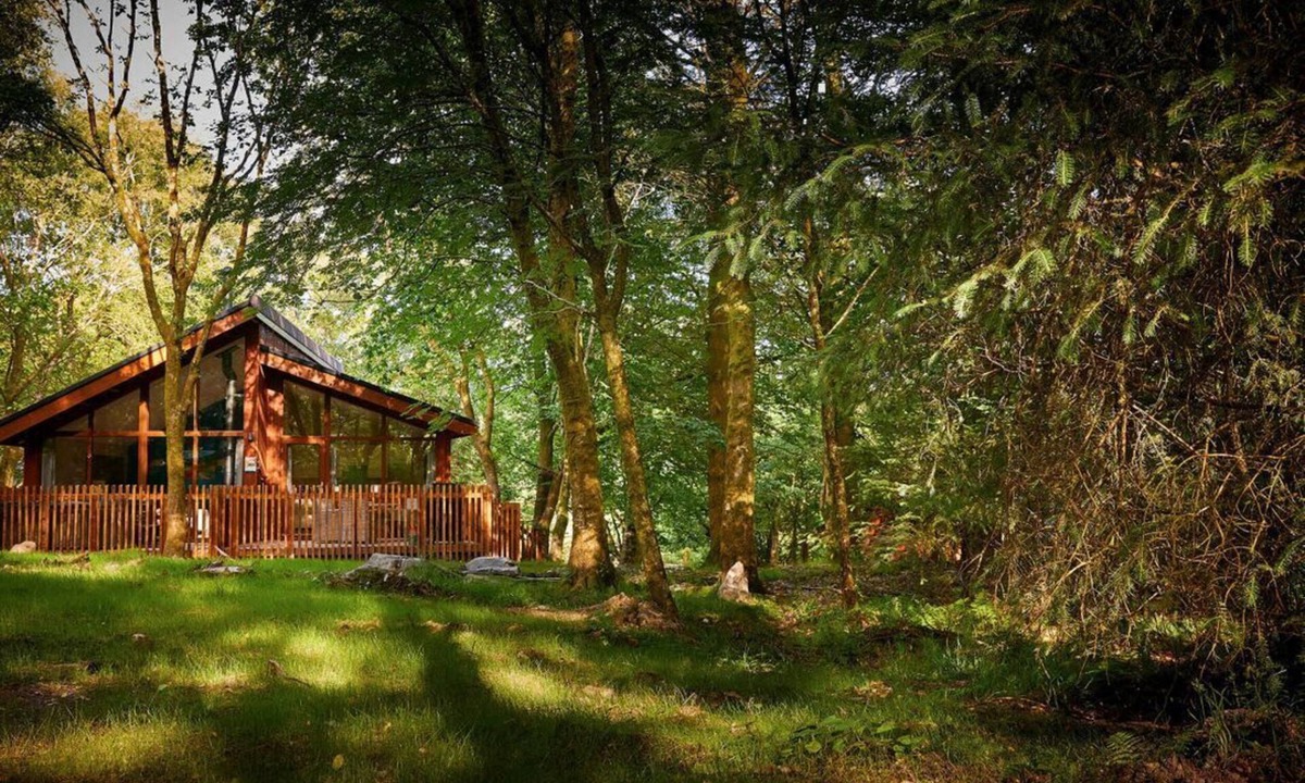 Beddgelert Cabin | Beddgelert Silver Birch - Fresh Design, Beddgelert