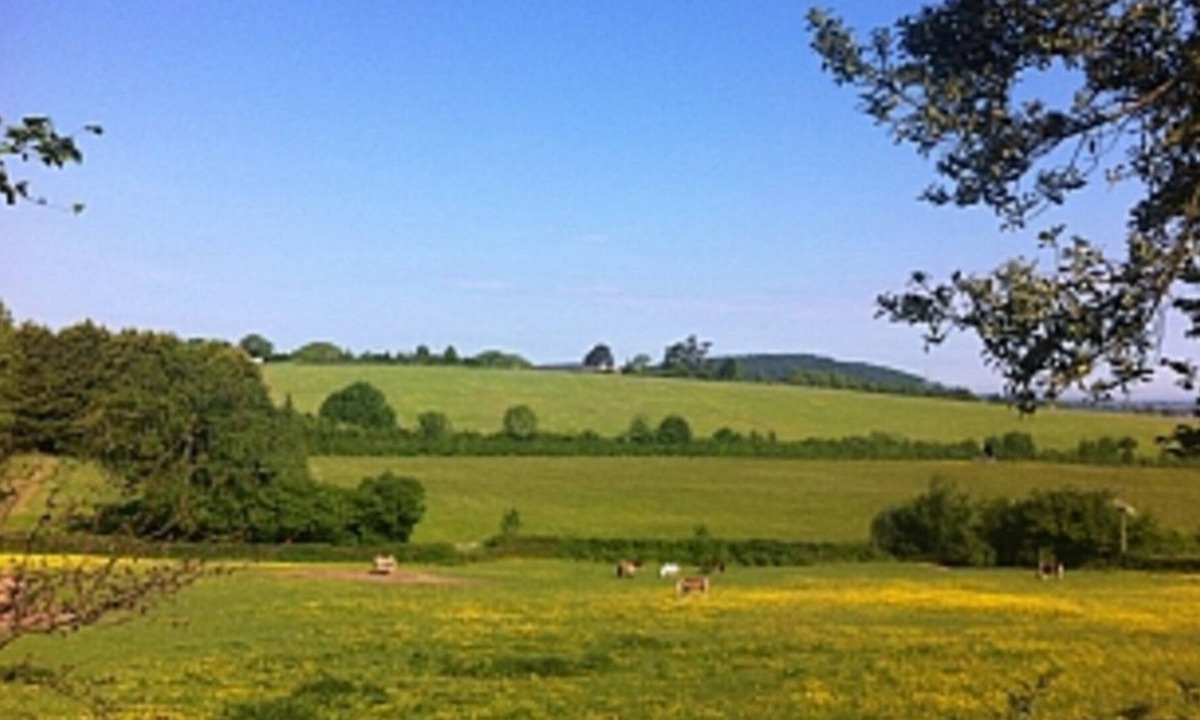 Bailey Lane End House | Brilliant cider barn on the edge of dean's forest