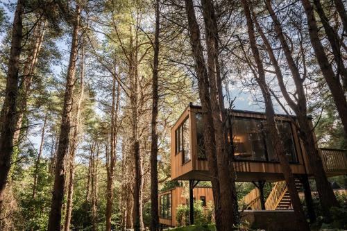 Coleraine Cabin | Burrenmore Nest - Luxury Forest Lodges with Hot Tubs & Sauna