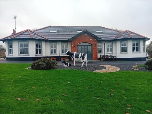 Loughinisland Bed & Breakfast | Creeghduff Lodge