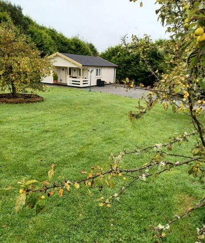 Letterkenny House | Family Log Cabin