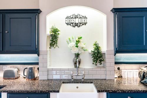 Castlewellan House | Forest Court