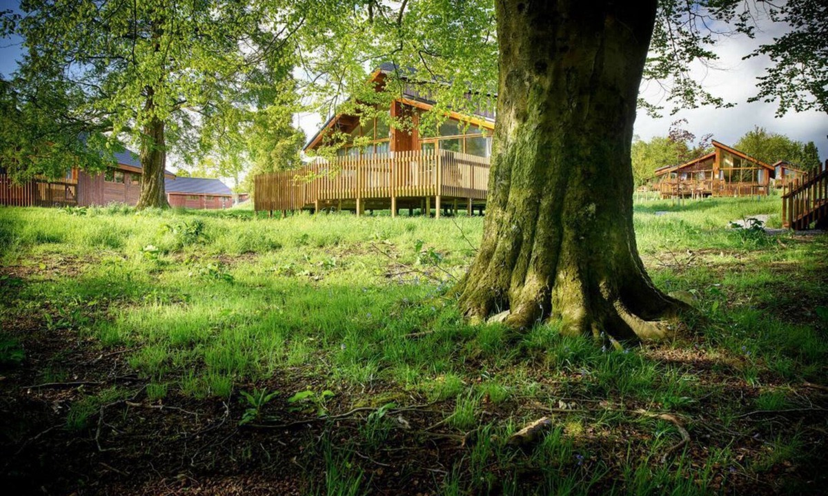 Berry Hill House | Forest of Dean Meadow - Golden Oak, Coleford