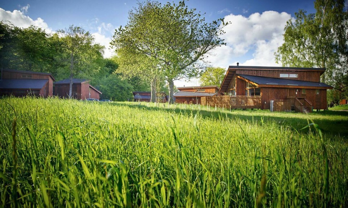 Berry Hill Cabin | Forest of Dean Meadow - Golden Oak, Coleford
