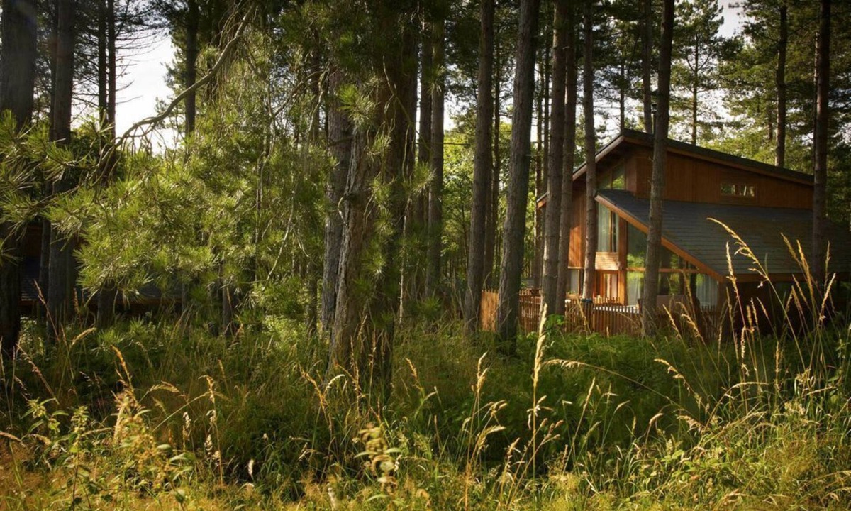 Berry Hill Cabin | Forest of Dean Woodland - Golden Oak, Coleford