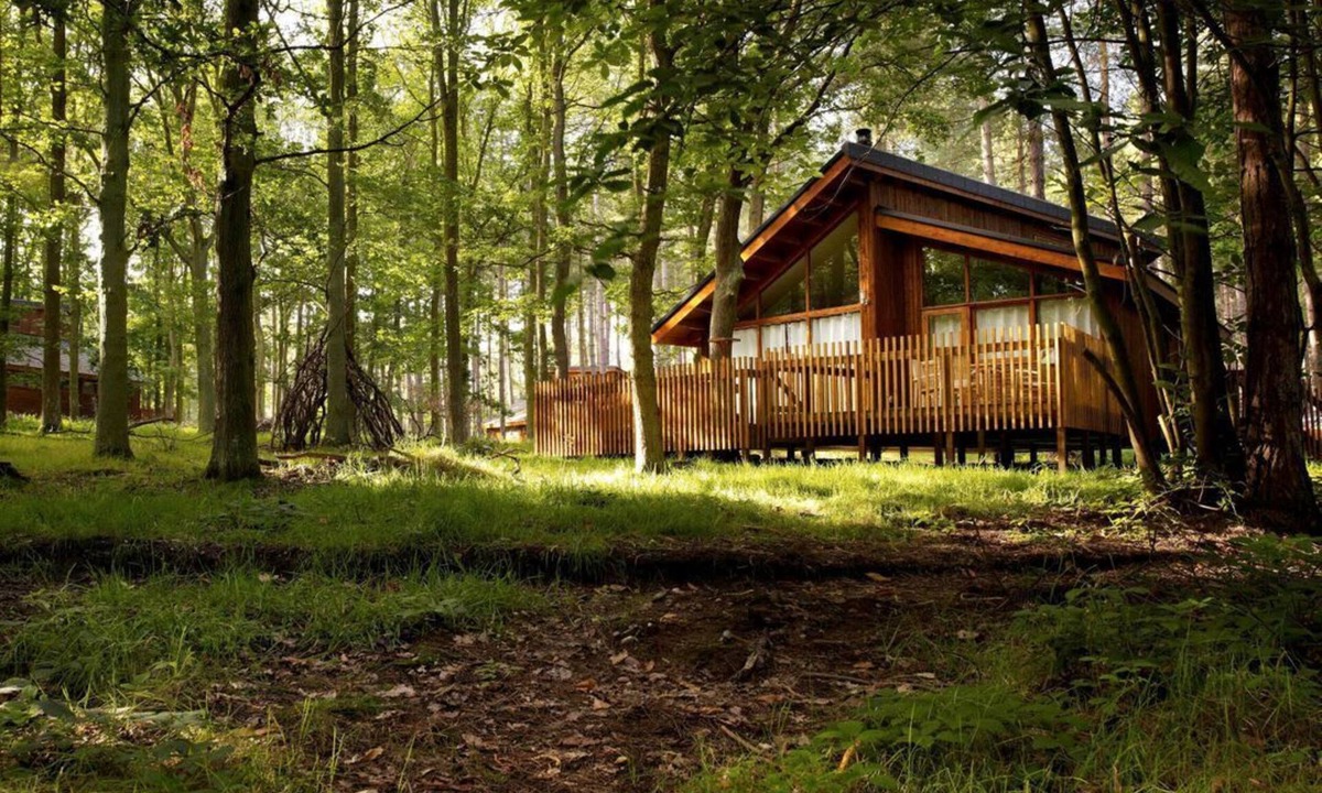 Berry Hill Cabin | Forest of Dean Woodland - Golden Oak, Coleford