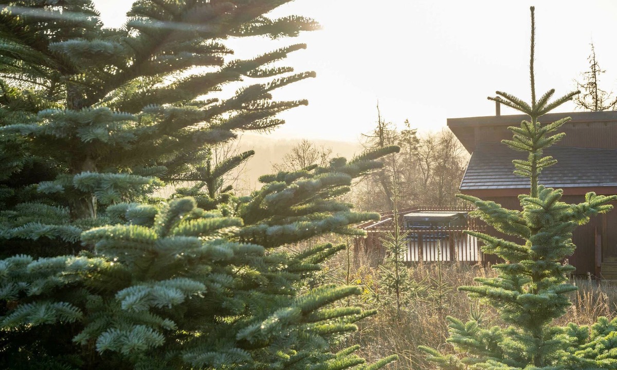 Merthyr Tydfil Cabin | Garwnant Golden Oak, Cwmtaf - Nature's Retreat Awaits