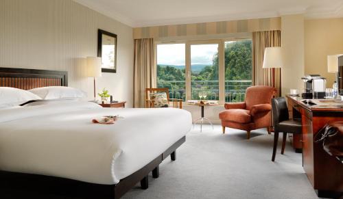 Ballsbridge Hotel | Herbert Park Hotel and Park Residence
