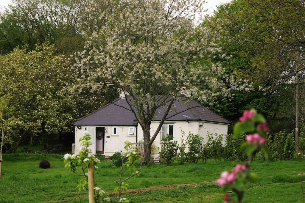 Etchinghill House | Magnolia Cottage - Kent
