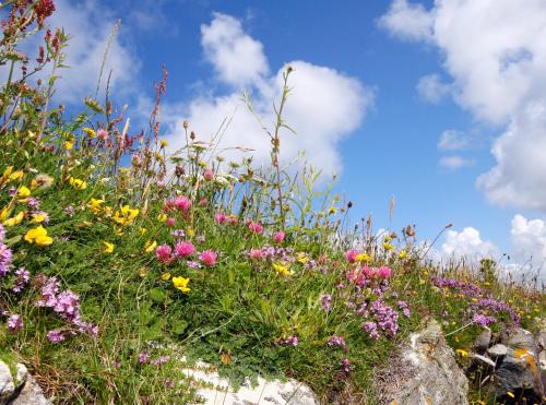 Belmullet House | Meadow Cottage
