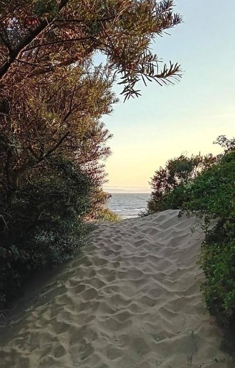 Brean Apartment | Ocean Drive Deluxe Apartment with use of the Day time Beach Hut