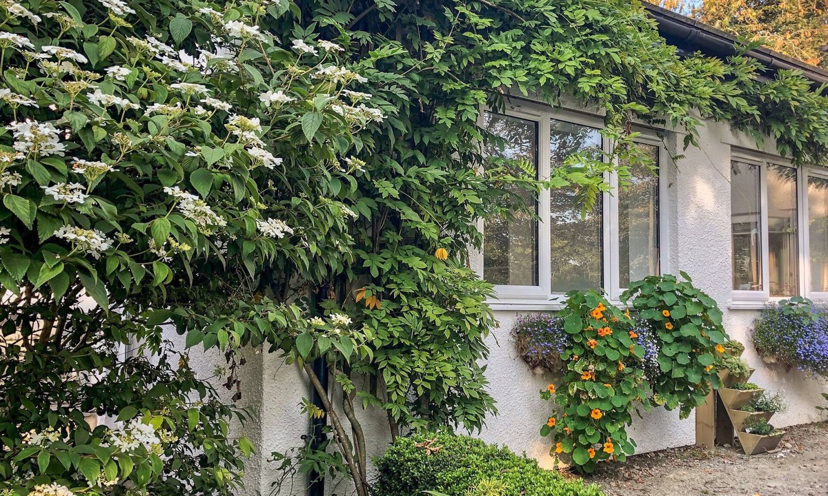 Brazzacott Cottage | PRIMROSE END, pet friendly, country holiday cottage in Jacobstow