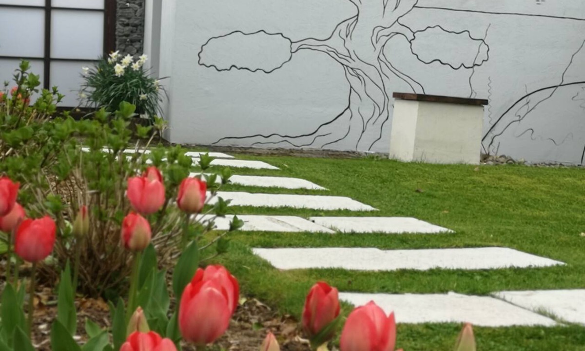 Trim Apartment | Private Sauna, Hot Tub & Cold Plunge near Trim Castle. Wi-Fi & Parking.