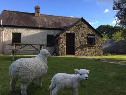 County Cork House | Rosies cottage
