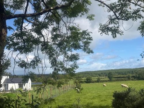 Londonderry Apartment | The Woodland Retreat Derry Londonderry