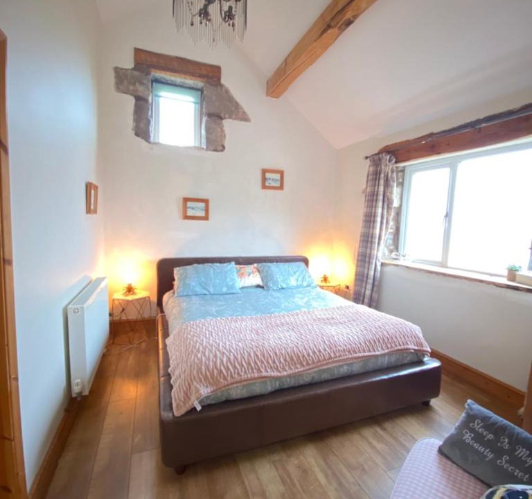 Leeswood Apartment | Unique Stay on an Alpaca Therapy Farm with Miniature Donkeys North Wales