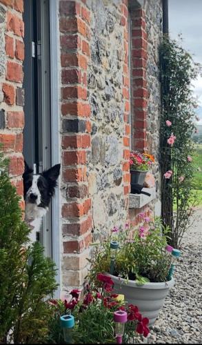 Castlewellan House | Whitehill Cottage