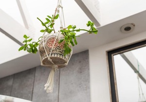 Beautiful Three Bed House with Terrace, Sleeps 6 in Dalston