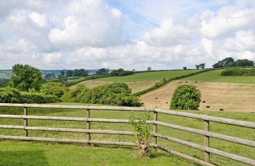Evershot Cottage | 1 bedroom accommodation in Evershot