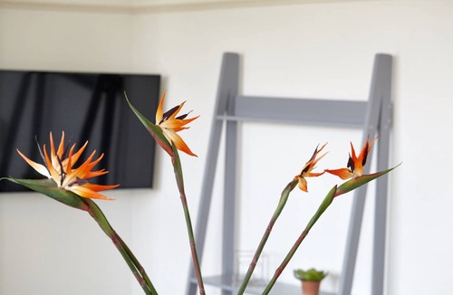 Redcliffe Villa | 80 m² Villa ∙ 1 bedroom ∙ 4 guests