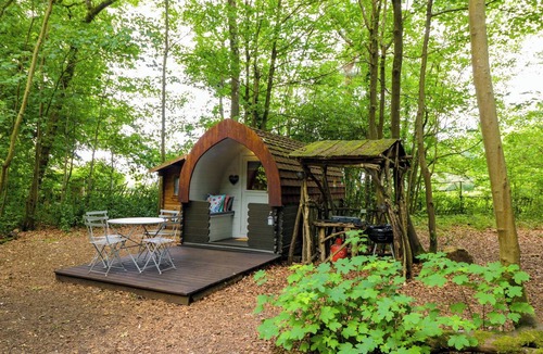 Penwood Cottage | BLUEBELL GLAMPING POD, pet friendly in Hollington, Hampshire