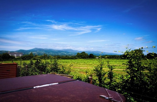 Mitchelstown Cottage | Bridge's Cottage - Hot tub - Plunge Pool