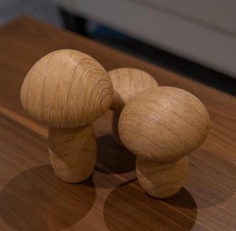 Lanark Apartment | Broom Cottage
