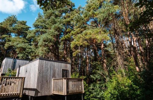 Coleraine Cabin | Burrenmore Nest - Luxury Forest Lodges with Hot Tubs & Sauna