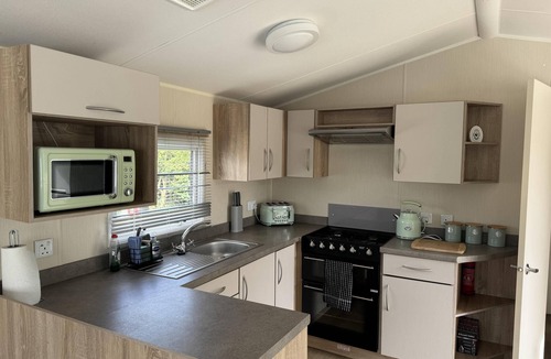 Brazzacott Cabin | CaravanBreak/3bed/PetsOk/FreeP/Tv/WiFi