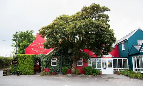 Baltimore Hotel | Casey's Of Baltimore Collection