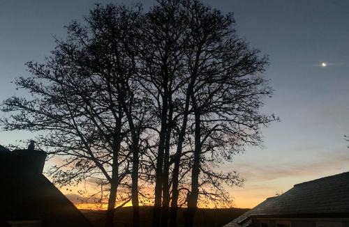 Omagh House | Cedar Lodge-Cabin in the Glen