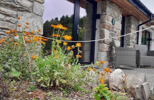 Roundwood Cottage | Cozy, comfortable cottage on an alpaca farm