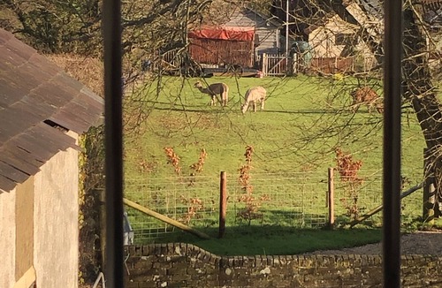 Godshill House | Delightful New Forest cottage with hot tub and direct forest access, sleeps 8