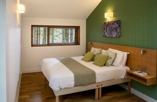 Berry Hill Cabin | Forest of Dean Woodland - Golden Oak, Coleford