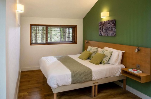 Berry Hill Cabin | Forest of Dean Woodland - Golden Oak, Coleford