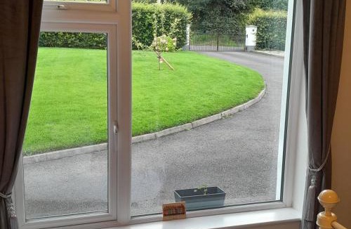 Enniskillen House | Forest view