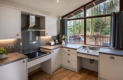 Merthyr Tydfil Cabin | Garwnant Silver Birch Wheelchair Accessible Cabin, Cwmtaf