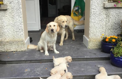 Valentia Island House | Glanleam House