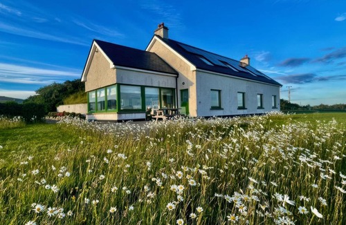 Newport House | Lighthouse Hill