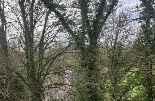 Ballymoney Cabin | Livery Lodge close to The Dark Hedges