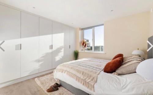 Stillorgan Apartment | Modern Deluxe Apartment with a Seaview