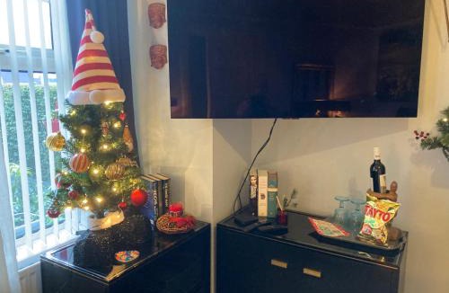 Belfast Apartment | Mountroyal Victorian Studio Self Catering Apartment 3
