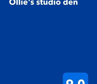 Kilmore Apartment | Ollie's studio den