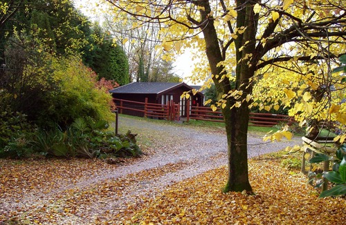 Pontyclun Cabin | 'PINELODGE', LLWYNAU FARM, LLANTRISANT - 12 MILES FROM CARDIFF. CF72 8LP. RCT.