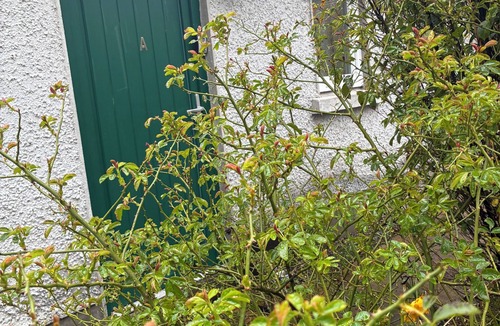 Kilcloon Apartment | Private Room for 1 or 2 guests, countryside setting in ideal safe surroundings
