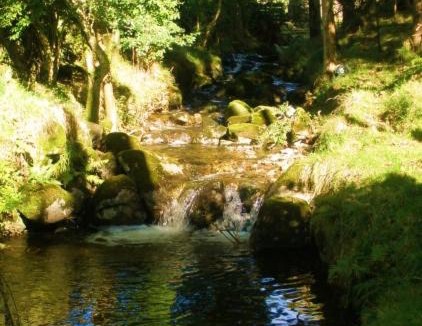 Dundalk House | Rainbow Cottage Glenmore