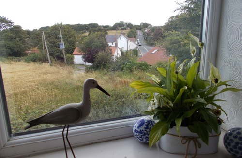 Reighton Cottage | Sea View Mews, Reighton near Filey - a rural cottage with uninterrupted sea view