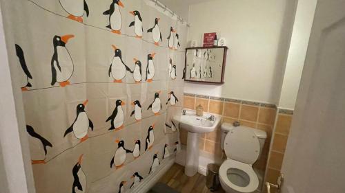 Dublin House | Shared Room man